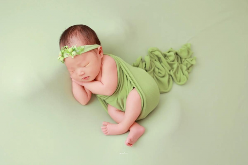 江山孕妇不能接触的花 江山孕妇不能接触的花